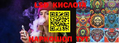 mdpv Новодвинск