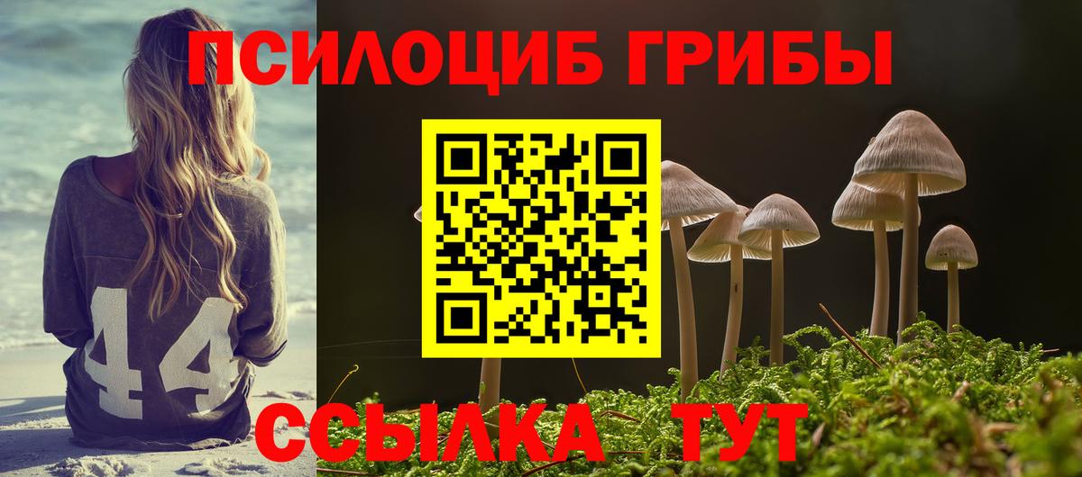 Хабаровск  Галлюциногенные грибы Psilocybine cubensis  Вход с VPN 
